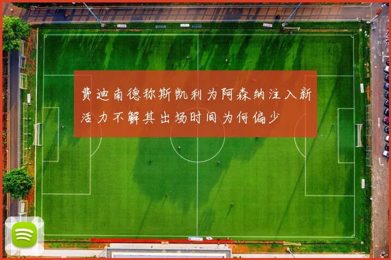 费迪南德称斯凯利为阿森纳注入新活力不解其出场时间为何偏少